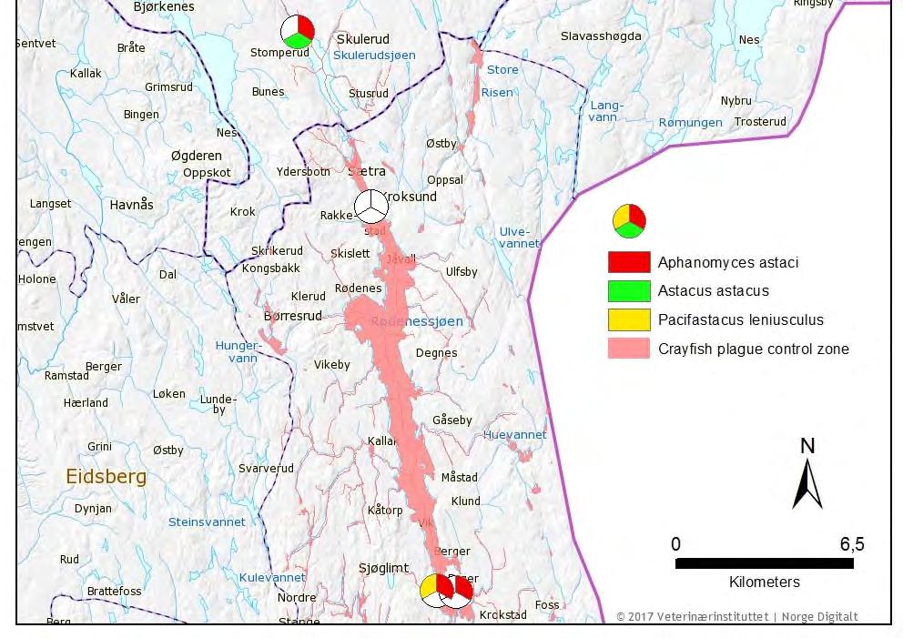 The control area ends at Fosserdam (red arrows). The pie chart indicates presence (color) or absence (white) of A. astaci (red), P. leniusculus (yellow), and A. astacus (green).