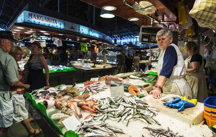 Lavpriskjeder, med Lidl og Aldi i spissen, har sett at vekst for dem bør komme fra en prisbevisst middelklasse. Fra å være veldig fokusert på fryste produkter har de nå endret strategi.