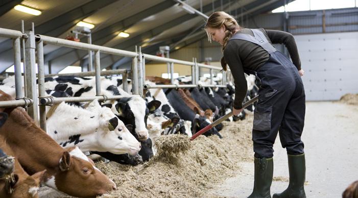 KrF vil gi valgfrihet og fleksibilitet til å organisere hverdagen med gode barnehager, bedre kontantstøtte, en styrket barnetrygd og