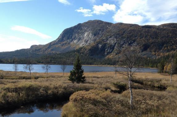 FREDAG 6. OKTOBER REBUSLØP FOR HELE FAMILIEN Da er det tid for Rebusløp på Haglebu Rebusen vil ha påmelding og start mellom kl. 11-12 i Haglebu Skisenter Fredag 6. oktober.