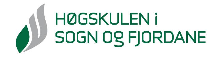 Veiledningsopplæring på masternivå ved HiSF-ALI studieåret 2011/12