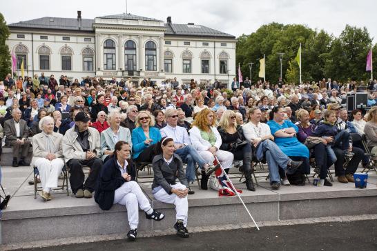 I planen er det valgt fire satsingsområder med tilhørende strategier for perioden 20