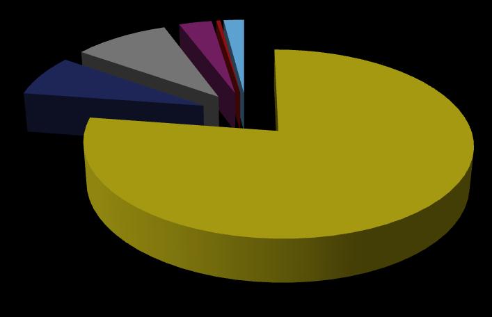 Einebustad 77% Tomannsbustad 7,4% Rekkehus 9,5% Bustadblokk 3,3% Bufellesskap 0,4% Andre byggetypar 2,04% Figur 4.