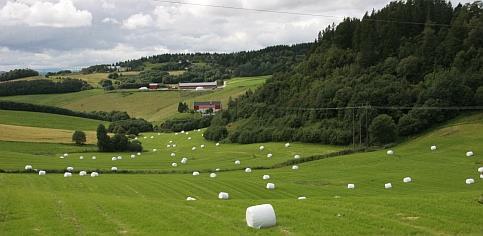 Landbruksforvaltning - kommune Flere pålagte oppgaver og større myndighet Ressurser i kommunen