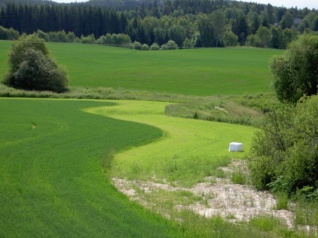 Effekten av buffersoner som filter for bla. jord og næringsstoff varierer avhengig av naturgitte og driftsmessige forhold.