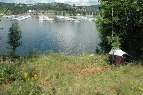 Endrestøl et al. 2007 Bygdøy Besøkt 24.05.07, 25.06.07, 08.08.07, 09.08.07 Naturverdier på Bygdøy er tidligere beskrevet i Markussen 1999; Hartvig 2004, Bendiksen et al. 2005, Endrestøl et al.