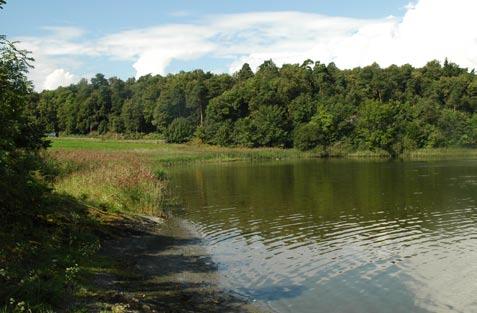 Registrering og overvåking av utvalgte insektarter i Oslo kommune III Bygdøy sjøbad I tillegg til å undersøke lakrismjeltforekomstene ved Bygdøy sjøbad, ble det også denne sesongen samlet med