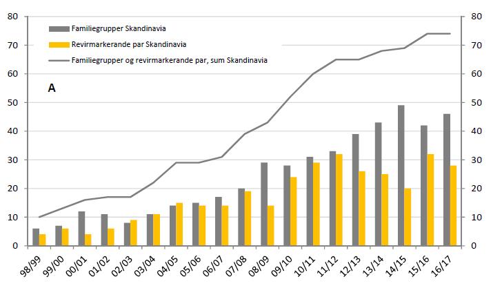 Figur 2: bestandsutvikling i Skandinavia 1999-2017 Bestandsutvikling I store trekk har den skandinaviske ulvestammen hatt en årlig tilvekst siden 1990-tallet.