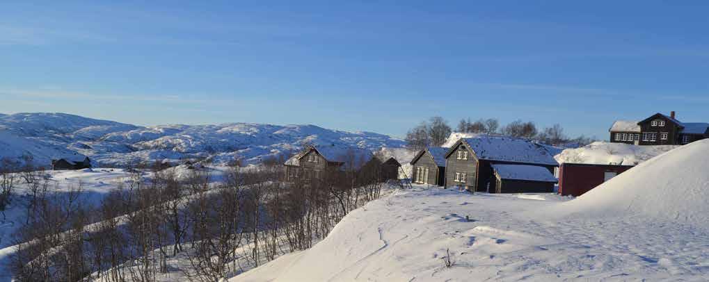 Hyttene får et kraftig høyfjellsuttrykk, hvor kledningen preges av både trestruktur og solide dimensjoner.