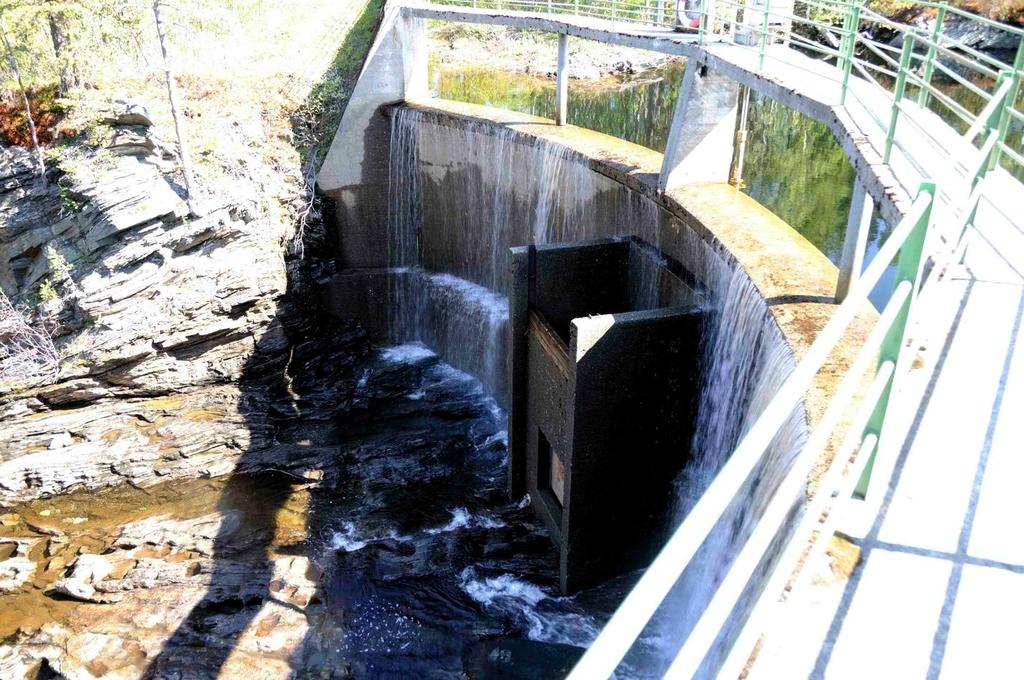 ned i Rinna og ut i Surna. Det kan oppnås gjennom å tappe fra lukene i Rinna dam.