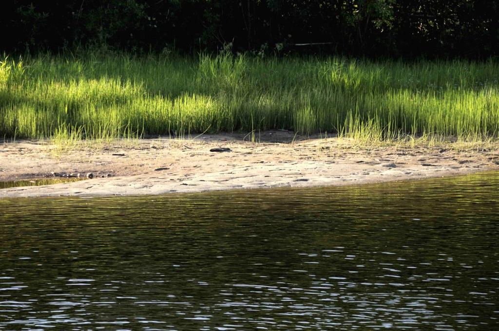 Figur 24 Död strand nedenfor kraftverket på grunn av effektkörning, uke 28 2014 Faksnes sone 2. Näringskjeder er brutt og elva bör spyles ut. 5.3.6 OVERSIKT OVER KRAFTPRODUKSJONEN.