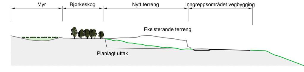 Røyra kan bli skada ved arbeid og sprenging nær E16. Gjennom fjellskjeringa i område M2 er det lukka drenering til E16. Forbi område M1 er drenering i opne grøfter med stikkrenner gjennom vegen.