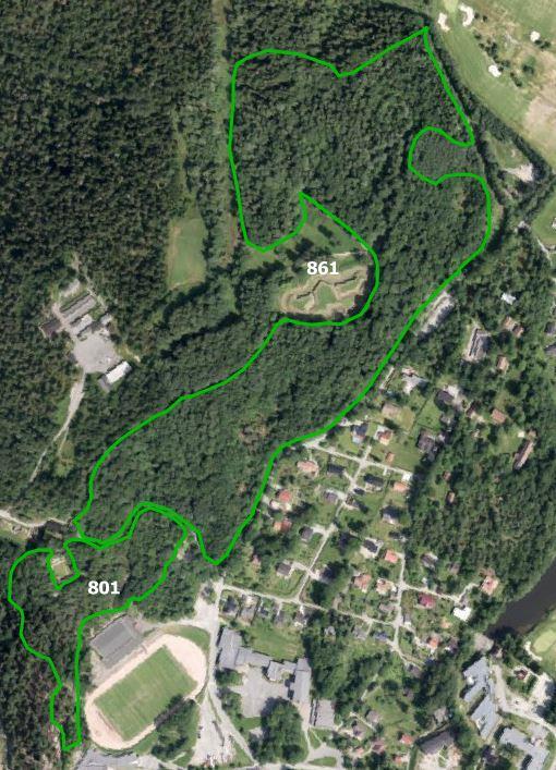 Figur 5. Justert avgrensning av Seierstenmarka sør, (861) og avgrensningen av Seiersten stadion nord (801). Rødliste- og fremmedarter Innenfor begge avgrensningene forekommer ask og alm.