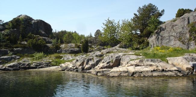 nr Større og sjeldnere oppgaver, (f. eks. grusing, maling, skogrydding etc.