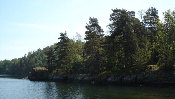 Fotografier Gjessøya og Funningsholmen Figur: 20.