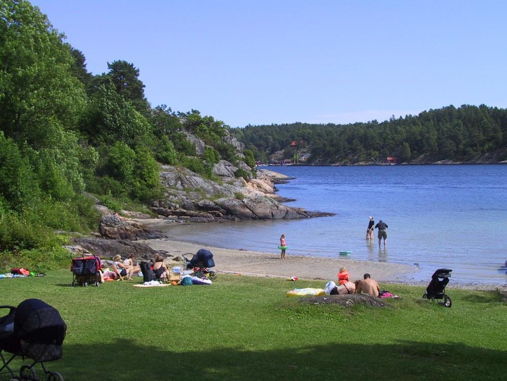 3. Driftsplan for planperioden (frivillig utfylling) nr Løpende oppgaver; årlig (f eks rydding, vasking, tilsyn, planklipping etc.