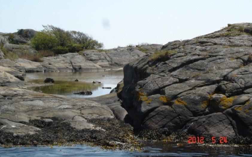 Det er behov for flere fortøyningsbolter både i Spekbukta og Langholmsundet. Antall og type: 20 stk. øyebolter Tvedestrand 2015 5.