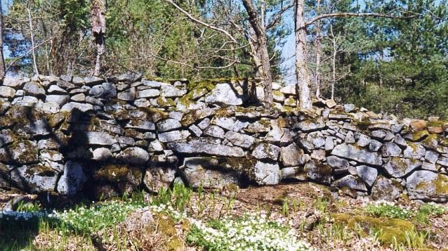 blant store eiketrær. Foto: Asbjørn Aanonsen Figur: 44.