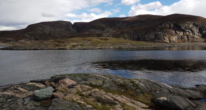 Brudekke i betong med asfalt slitelag. Ny veg ca. 4,6 km Opparbeidelse av ca. 300 m av veg til Kvenndalsfjellet samt tomt til servicebygg for Statskraft på Ryssdalstoppen.