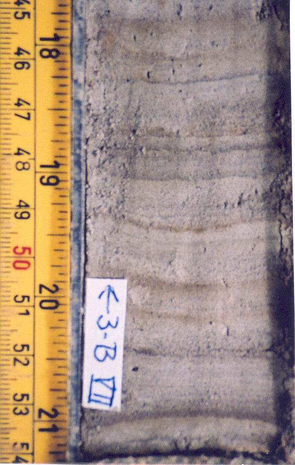 3 Bunnsedimentene i Eidsvann 3.1 Feltarbeide Innledende undersøkelser med opptak av noen få kjerneprøver av bunnsedimentene fra tre forskjellige lokaliteter i vannet, ble gjennomført i oktober 1997.