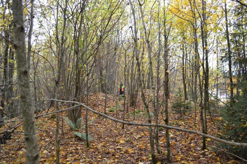 3 LANDSKAPET, FUNN OG FORNMINNER Det finnes en rekke kulturminner i nærområdet, bl.a. Andebu prestegård, id 86446, og Andebu kirkested som er fra 1100-tallet, id 83777.