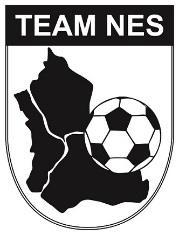 Sportsplan -Vedtatt 10.7. 2017 Team Nes: Spillerutvikling satt i system! Innledning Sportsplanen er laget for å få til et langt mer enhetlig sportslig arbeid for klubbene i Team Nes.