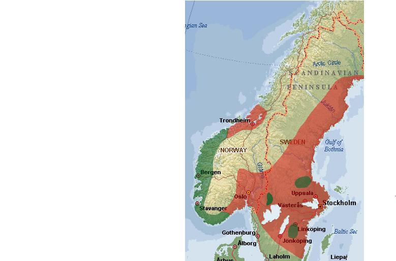 Hvitryggspetten forsvant