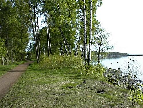 Restaurering (gjenoppretting) av elver og