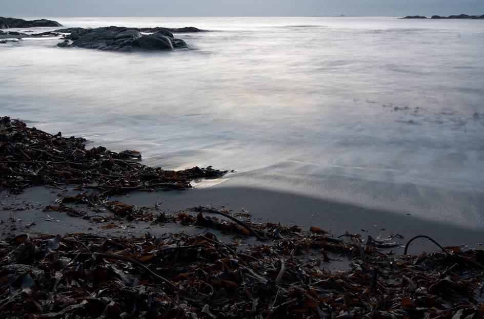 Ytterst på odden forekommer klipper og svaberg med noe mindre sandstrandareal. Deler av området er statlig sikret friluftsområde og inngår i Skjærgårdsparken Lister.