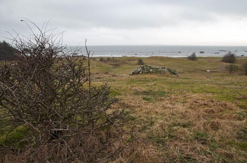 Figur 14. Hagtorn sprer seg i beitemarka. Foto: Pål Klevan. Landbruk Leplanting Det er landbruksdrift i området. Arealene beites av storfe og er i god hevd.