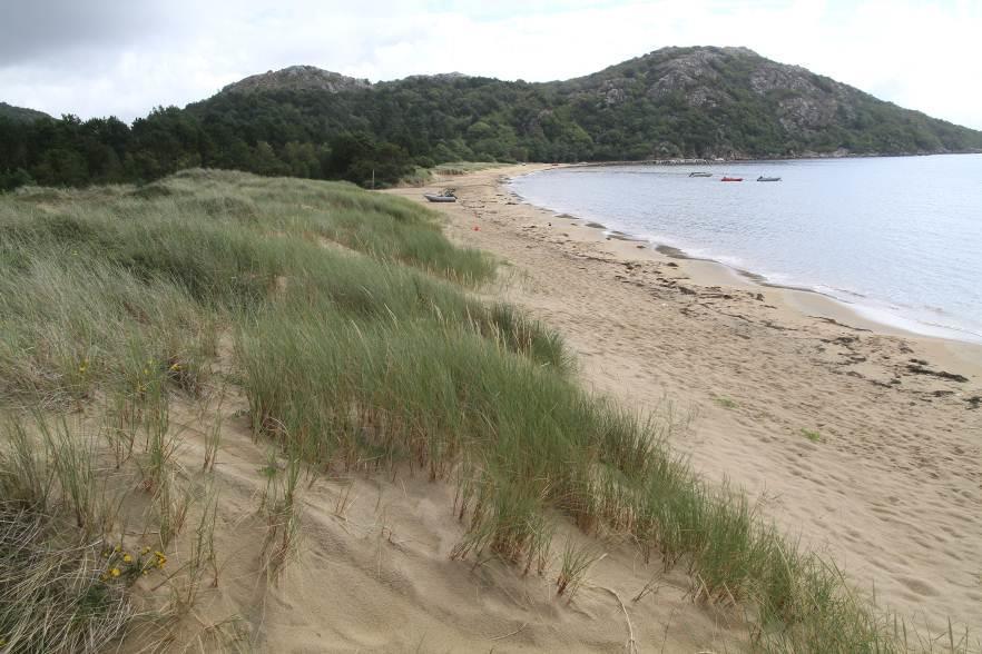 Verneverdier Landskap/geologi Lomsesanden består av småkupert og relativt flatt landskap omkring havets nivå, med noe stigning mot øst og nordøst. Landskapstypen settes til strandflate (NiN). Figur 1.