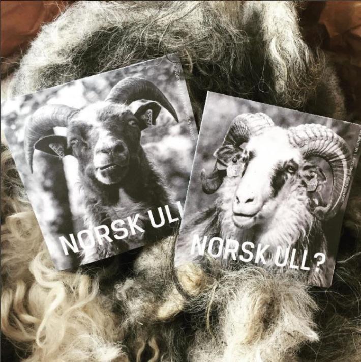 Ullialt Ullialt er vårt fireårige satsingsområde som varer ut 2018. Den norske ulla har fantastiske kvaliteter, men kunnskapen om den og bruka av den, er i ferd med å forsvinne.