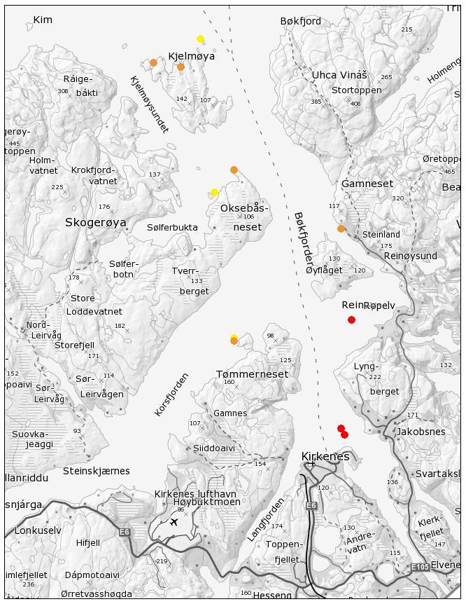 3.1 TARESKOG FRA 0-5 M DYP I overflaten var det stort sett andre algegrupper som dominerte, som diverse tangarter og trådformede rød- og brunalger.