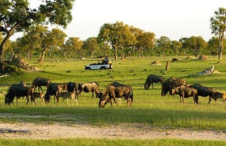 0500: Tidlig vekking. Frokost. Kl. 0600: Safari ved The Hide i Hwange Nasjonalpark. Kl. 1100: Brunsj serveres i spisevognene.