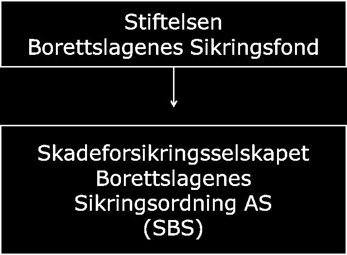 A. Virksomhet og resultater A.