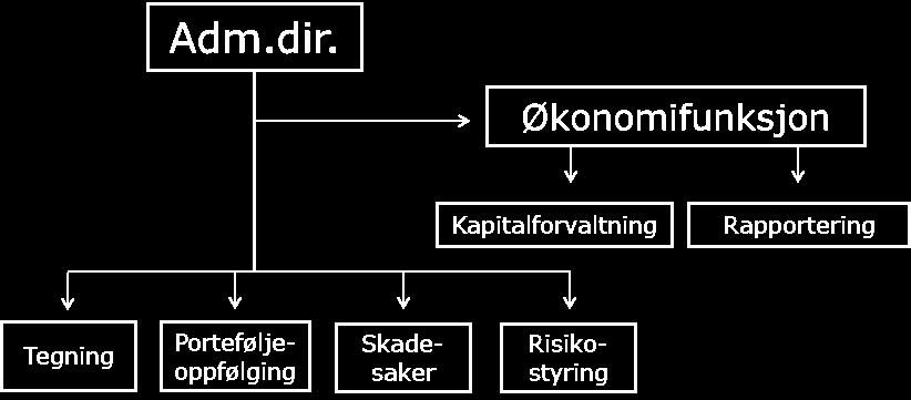 Skadeforsikringsselskapet Borettslagenes Sikringsordning (SBS). Som følge av at sikringsordninger for borettslag ble lovregulert med virkning fra 1.