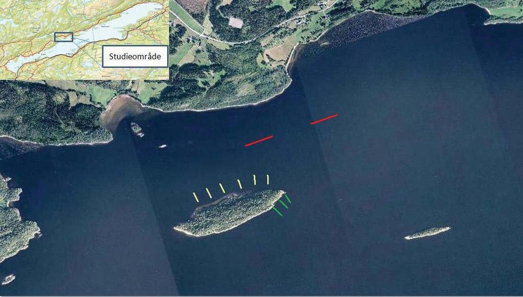 Figur 1:Studieområdet i Snåsavatnet med de forskjellige garnplassene. Røde streker symboliserer lenker med flytegarn.