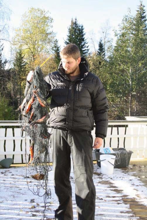 6 Magefyllingsfordeling (prosent) 5 4 3 2 1 Ørret Røye Lake Full ¾ ½ ¼ Nesten tom Tom Fyllingsgrad Figur 4:Magefylling (%) hos ørret, røye og lake fanget i juni, juli og september i Snåsavatnet,