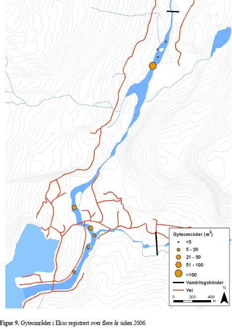 Figur 11 Gyteområder i Ekso. Raudfossen er avmerka som vandringshinder. FNF meiner at konsekvensen for tilgroing er undervurdert, og at vurderinga som ligg til grunn er for tynn.