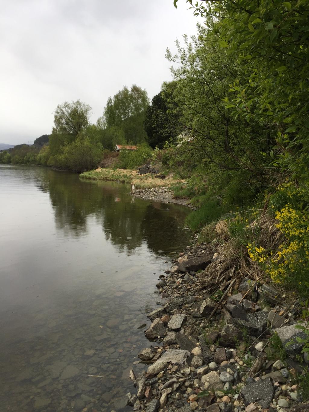 Figur 3-3 Typisk utseende av strandsonen for område 2035