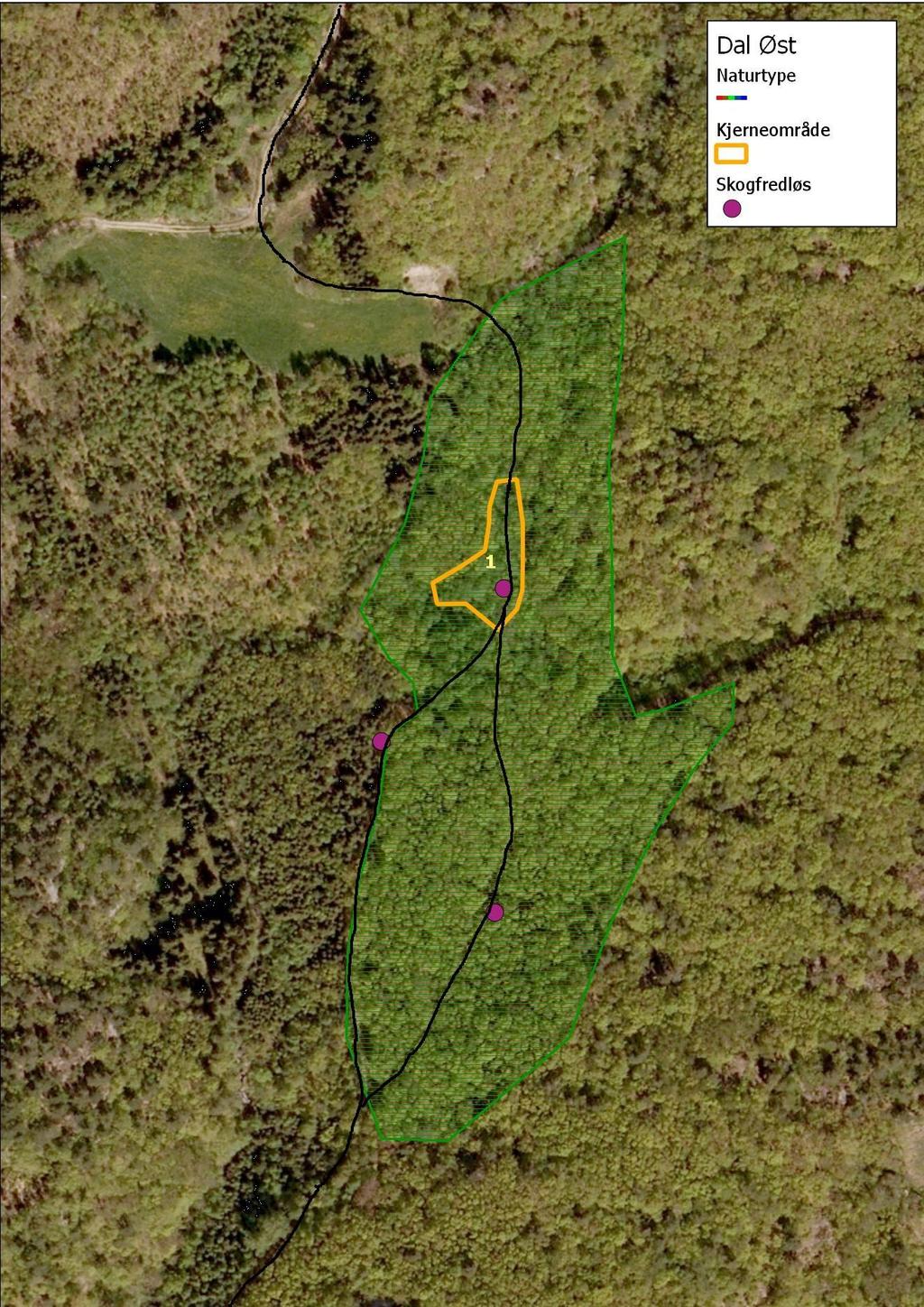 Figur 4: Kartlagte naturverdier i planområde på Dal.