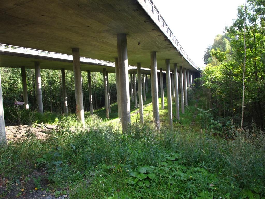 Forord I forbindelse med reguleringsplan for rassikring og støy-/støvskjerming for et område langs E6 i Skedsmo kommune, har BioFokus ved Ulrika Jansson kartlagt naturverdier i Tuterud-ravinen.