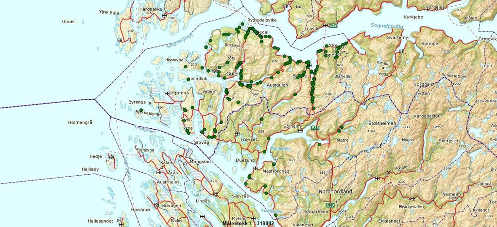 Figur 8: Syner avskyting vaksne dyr vs. tilvekst Så lenge ein har målingar har fordeling på uttak av tilvekst (ungdyr/kalv) ligge på eit stabilt nivå.