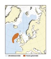 112 HAVETS RESSURSER OG MILJØ 25 K APITTEL 3 ØKOSYSTEM NORSKEHAVET 3.2.3.2 Kolmule I 2 var norsk kolmulefangst rekordhøy på om lag 9. tonn.