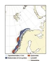 KAPITTEL 3 ØKOSYSTEM NORSKEHAVET HAVETS RESSURSER OG MILJØ 25 115 Tabell 3.2.3.3.2 Lodde ved Island Østgrønland Jan Mayen. Anbefalt TAC, avtalt TAC og aktuell fangst (tusen tonn).