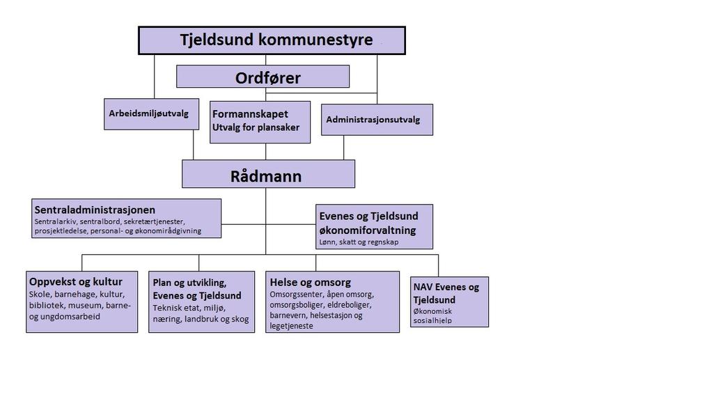 3. Organisering