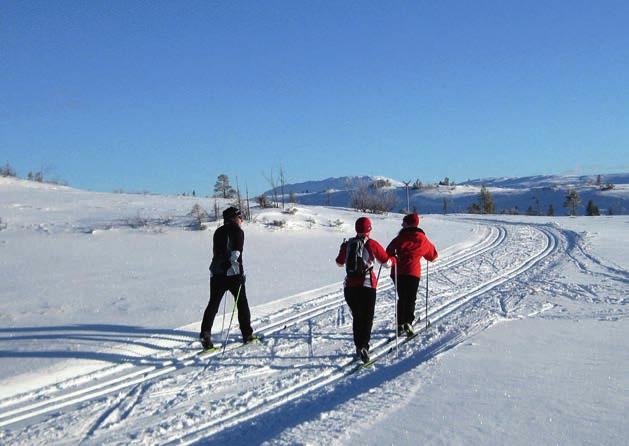 Viktigst er allikevel bredden og det store arbeidet som legges ned for at barn og unge skal finne sin plass i de ulike idrettsmiljøene sommer og vinter.