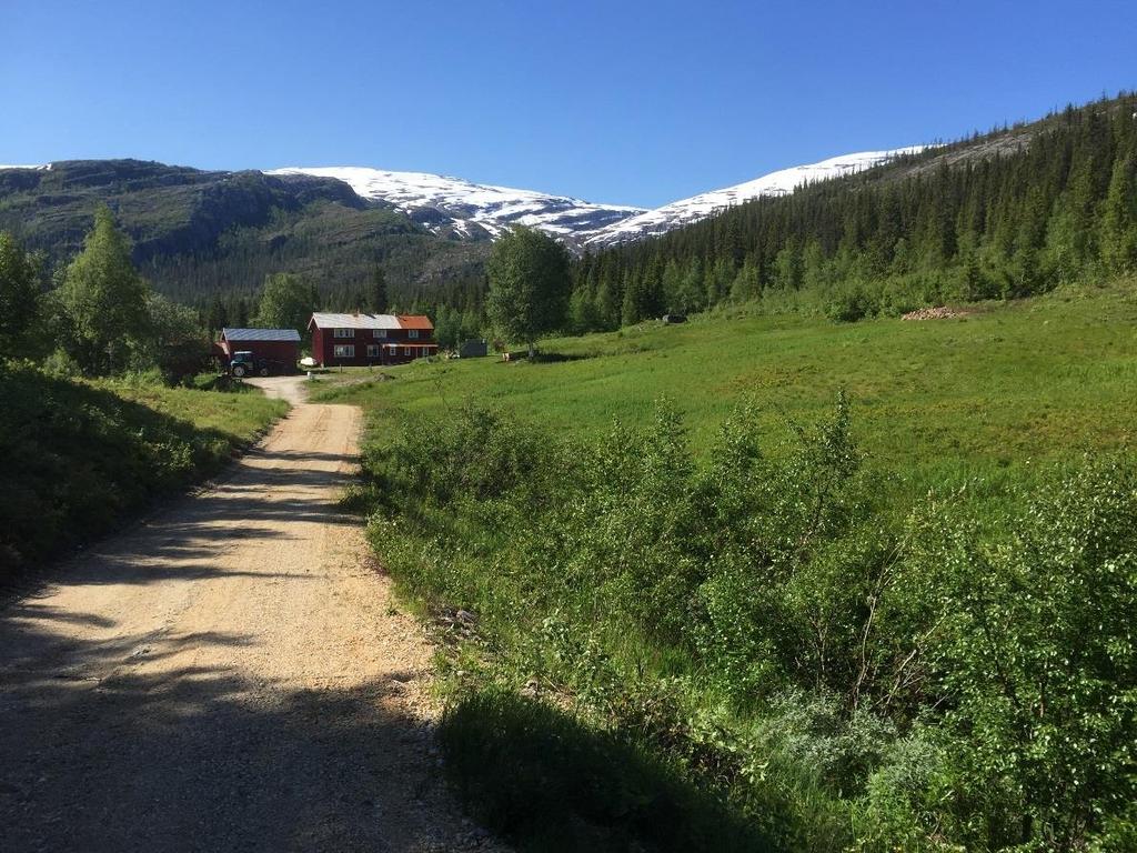 Figur 5 Veistrekning ned mot gård ved Leiråmoen Dersom ikke det ikke gis