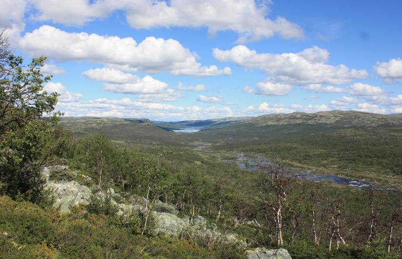 Dagali-Seterdalen Hol og Nore og Uvdal Dagali-Seterdalen er rik på kulturminner fra svært ulike perioder av vår forhistorie.