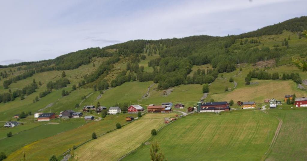 Leveld Ål Leveld er et helhetlig jordbrukslandskap der eiendoms- og bebyggelsesstruktur er